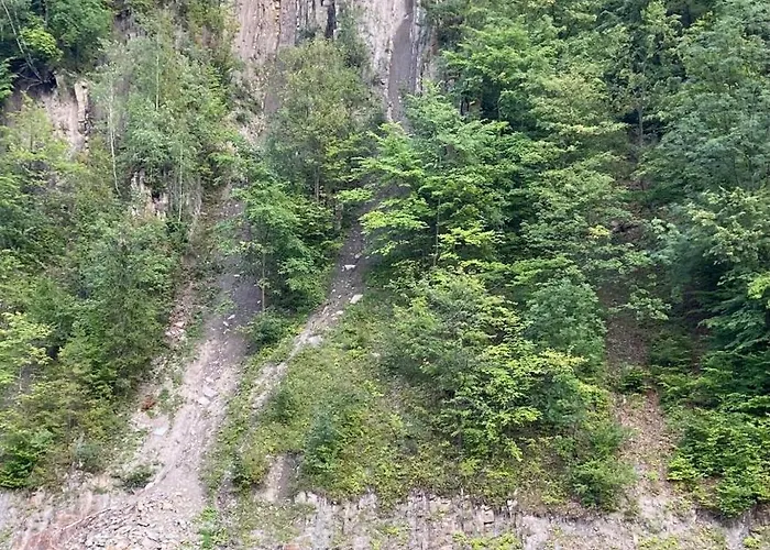 Yaremchuk Chata